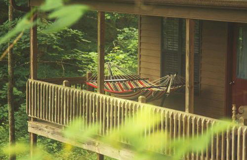 Family-Friendly Cabin Rental with River Views near Knoxville - Foto 48