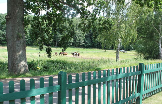 Spacious Holiday Home in Landstorf Zierow near Beach - Foto 19