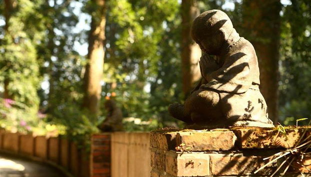 Villa Puncak by Plataran - Foto 5