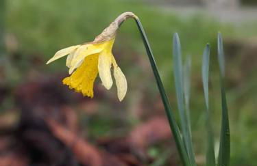 Le Stagioni del Parco - Foto 67