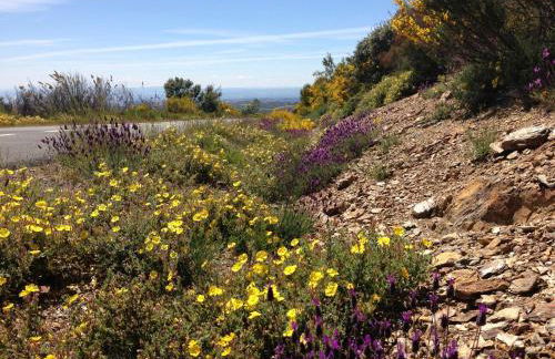 Mosteirinho - Foto 34