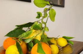 Casa il Frutteto Pompei - Foto 8