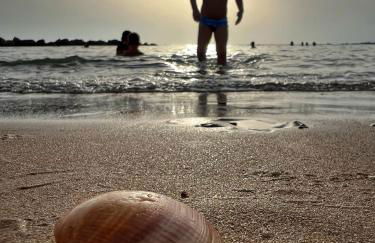 L' Antico Scoglio Appartamenti comfort Nocera Terinese Scalo - 4,7 e 11 Ospiti - Navetta Aeroporto-Stazione & Multi-Destinazioni - Piscina - Spiaggia a 300mt - Giardino e Zona pranzo all'aperto - WiFi & SmartTV - Aria Condizionata - Foto 60