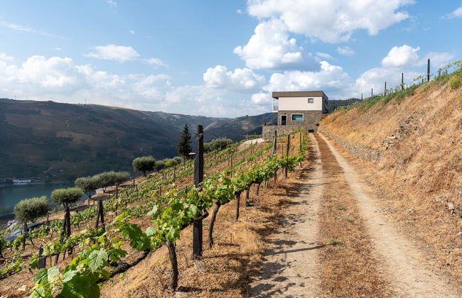 Feel Discovery Alvim's Douro - Foto 11