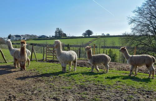 Parlwr - Uk11210 - Foto 13