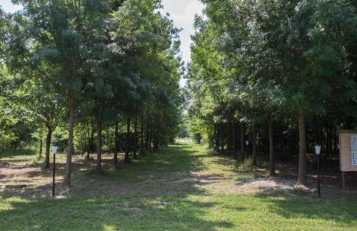 Holiday countryside home with swimming pool, sauna Less than 20km from the sea - Foto 62