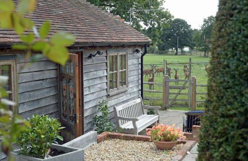 Deer Lodge with a View - Photo 2