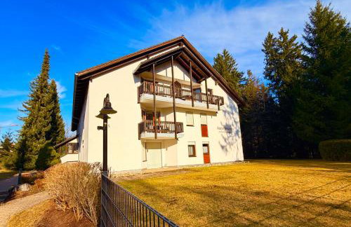 Waldapartments Titisee - Foto 48