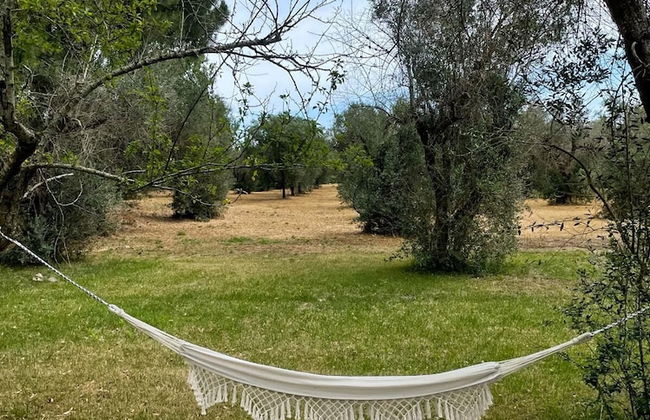 Tenuta Sidore - Photo 52