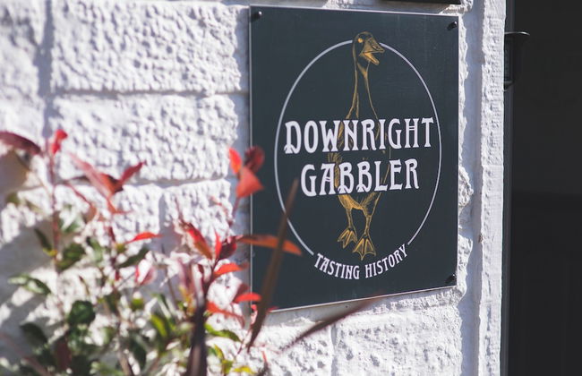 Downright Gabbler - Foto 60