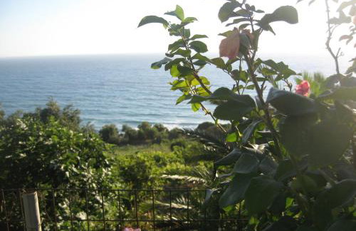 Areti Studios - Foto 65