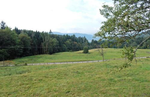 Holiday Home Vagney near Ski Gérardmer - Photo 25