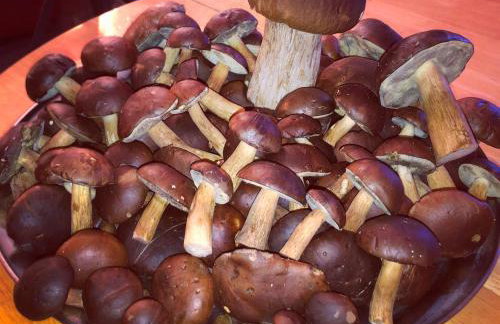 Przystań Piława - Foto 78