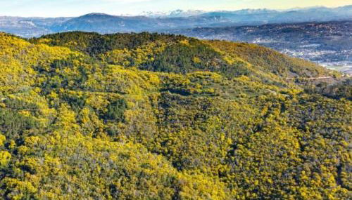 Studio indépendant dans màs provençal - Foto 3