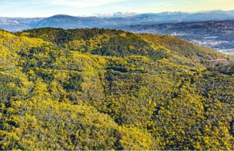 Studio indépendant dans màs provençal - Foto 3