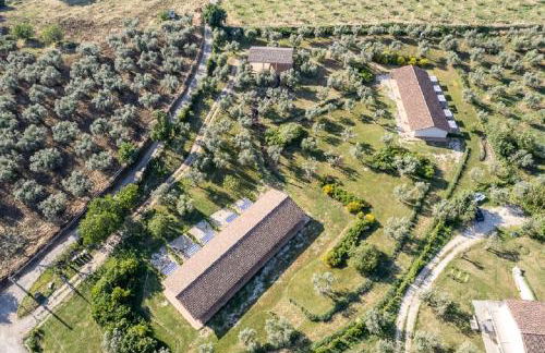 Azienda Agricola Il Bagolaro - Foto 89