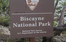 Boho Oasis 2 - Foto 10