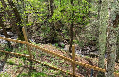 The Beech Hut - Foto 36