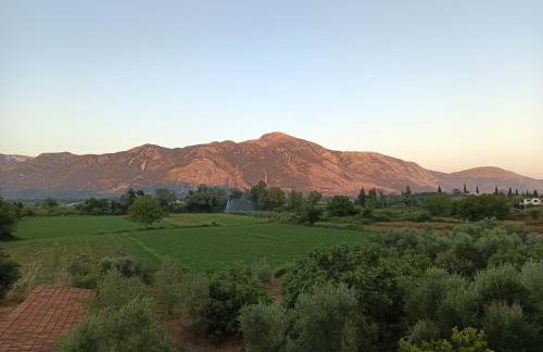 Villa Eleni - Foto 9