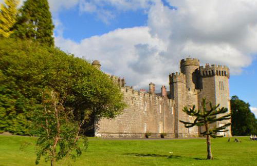 The Old Smiddy Cottage and Apartment - Foto 35