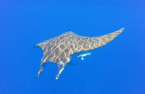 Apartamentos Lisboa - Foto 35