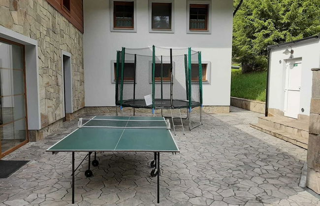 Club Rezidence Pod Lučí Loučovice - Foto 62