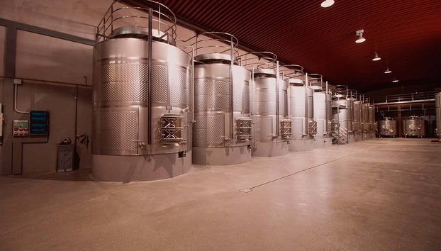 Visita a las bodegas Tierras de Cebreros - Photo 3