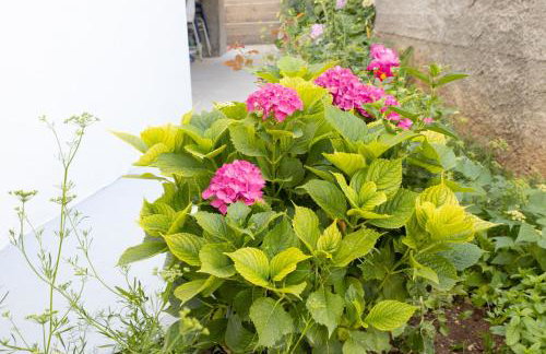 Apartments Latkovic - Photo 75