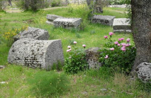 La Casa De La Abuela - Photo 44