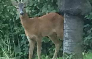 Bellissimo Rustico A 7 km Dal Lago D'Orta - Foto 17
