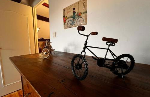 Gîte de la petite Reine - Foto 45