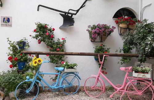 El Rincón de Carmen - Foto 91