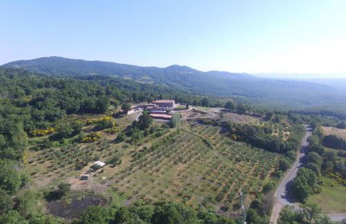 VIN Hotel - Wine Resort and Agriturismo Montieri - Photo 114