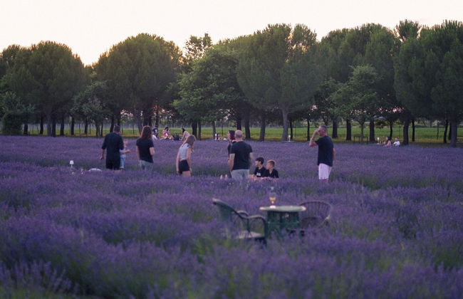 Belvilla by OYO Cotogno - Foto 22