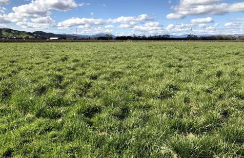 Luxury Chic Farm Cottage in Wine Country, California - Foto 33