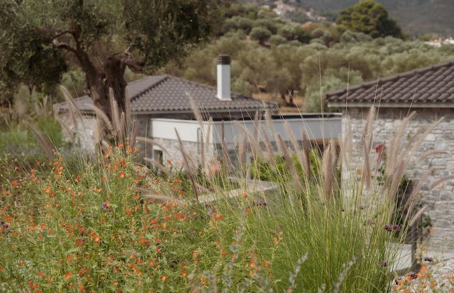 Elies Residences - Photo 46