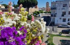 Suite Panorama - Photo 1