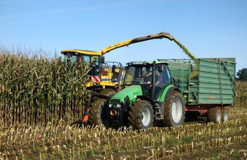 Haus am Hof - Foto 34