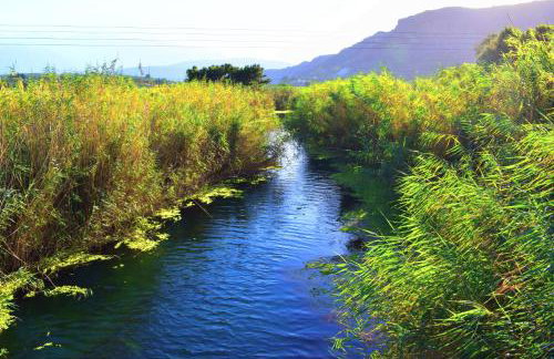 Dimitra's Sea-Crafts Boutique Studios - Photo 25