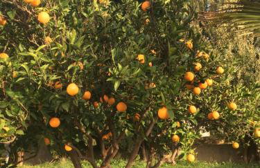 Apartments Blue Horizon - Foto 80