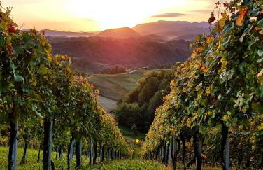 Holiday house Green hill in Zagorje - Foto 80