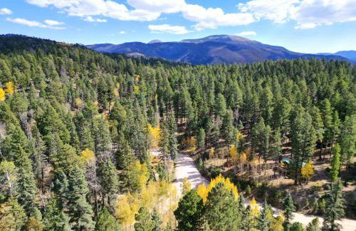 Serene 70s Retreat Near San Antonio Hot Springs - Foto 14