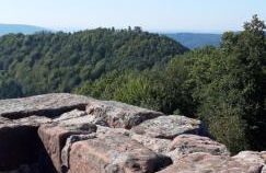 Wasgau Felsen- und Seen - b70799 - Foto 15