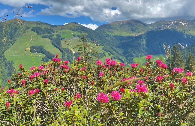 Alpbach Bergwald - Foto 58