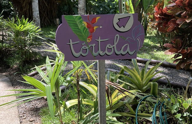 Las Palomas Villas - Photo 4