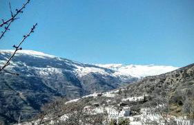 Casa Pablo - Photo 6