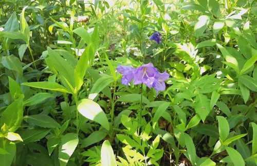 Die Malche Gäste und Tagungshaus 16 - Photo 27