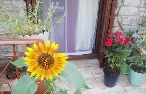 Όμορφο Πέτρινο Σπίτι στη σαμο - Foto 17