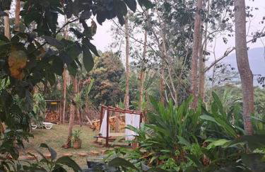 Imersão cascata - Foto 28
