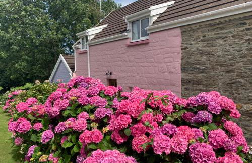 Canllefaes Cottages - Foto 14